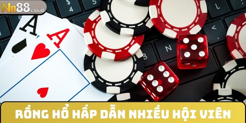 Rồng Hổ hấp dẫn nhiều hội viên