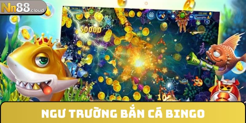 Ngư trường bắn cá Bingo trải nghiệm hấp dẫn